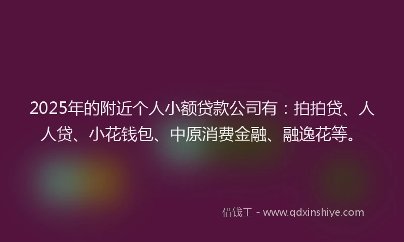 2025年的附近个人小额贷款公司有：拍拍贷、人人贷、小花钱包、中原消费金融、融逸花等。