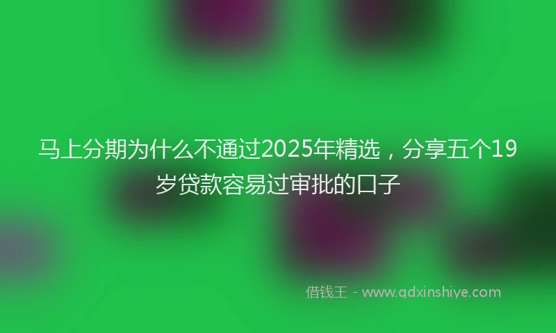 马上分期为什么不通过2025年精选，分享五个19岁贷款容易过审批的口子