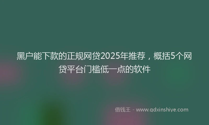 黑户能下款的正规网贷2025年推荐，概括5个网贷平台门槛低一点的软件