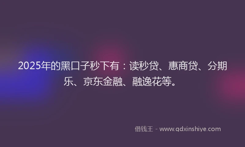 2025年的黑口子秒下有：读秒贷、惠商贷、分期乐、京东金融、融逸花等。