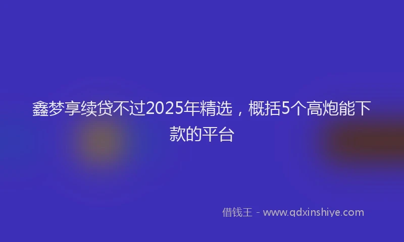 鑫梦享续贷不过2025年精选，概括5个高炮能下款的平台