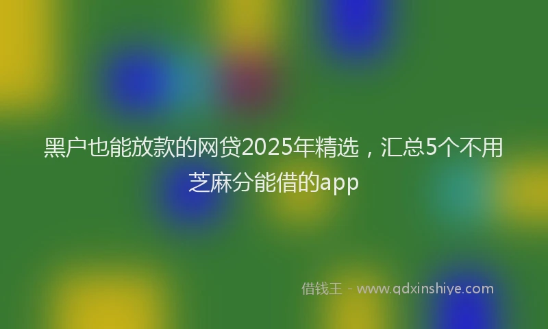 黑户也能放款的网贷2025年精选，汇总5个不用芝麻分能借的app