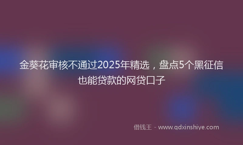 金葵花审核不通过2025年精选，盘点5个黑征信也能贷款的网贷口子