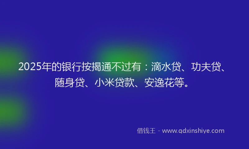 2025年的银行按揭通不过有：滴水贷、功夫贷、随身贷、小米贷款、安逸花等。