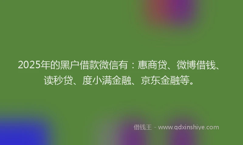 2025年的黑户借款微信有：惠商贷、微博借钱、读秒贷、度小满金融、京东金融等。
