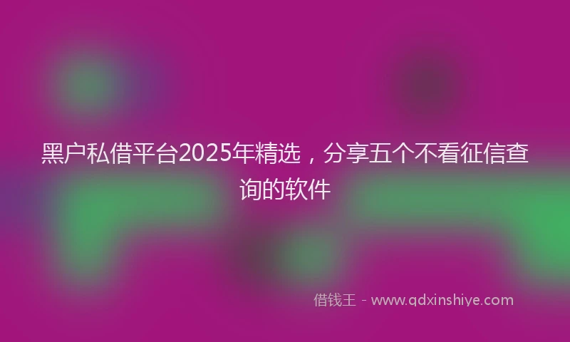 黑户私借平台2025年精选，分享五个不看征信查询的软件