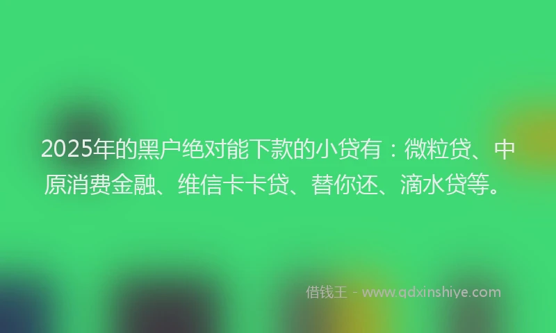 2025年的黑户绝对能下款的小贷有：微粒贷、中原消费金融、维信卡卡贷、替你还、滴水贷等。
