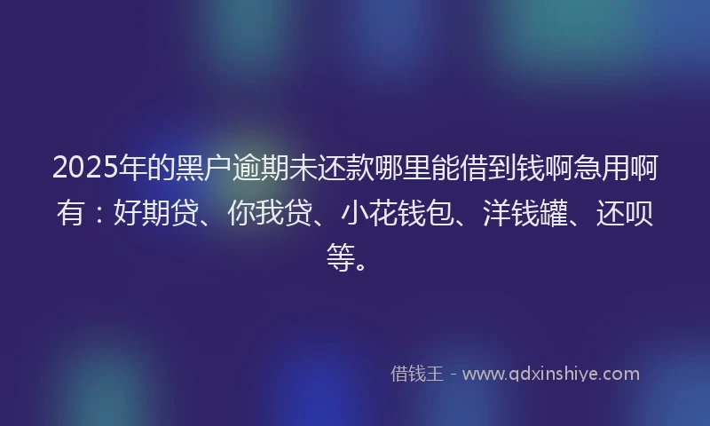 2025年的黑户逾期未还款哪里能借到钱啊急用啊有：好期贷、你我贷、小花钱包、洋钱罐、还呗等。