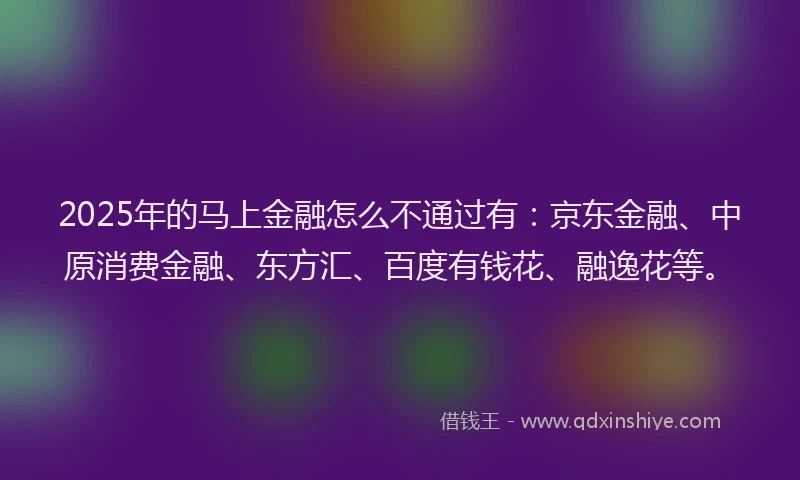 2025年的马上金融怎么不通过有：京东金融、中原消费金融、东方汇、百度有钱花、融逸花等。