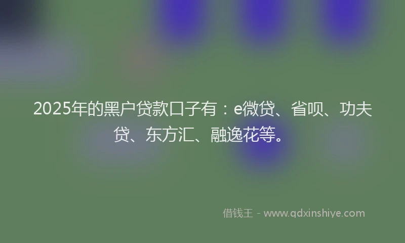 2025年的黑户贷款口子有：e微贷、省呗、功夫贷、东方汇、融逸花等。