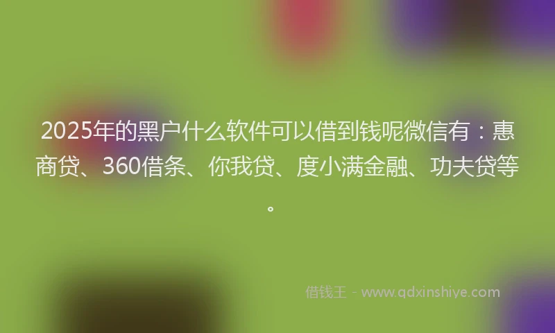 2025年的黑户什么软件可以借到钱呢微信有：惠商贷、360借条、你我贷、度小满金融、功夫贷等。