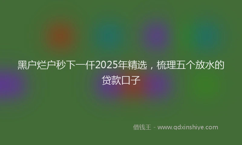 黑户烂户秒下一仟2025年精选，梳理五个放水的贷款口子