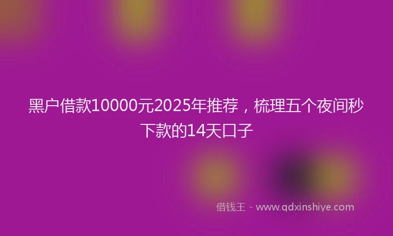 黑户借款10000元2025年推荐，梳理五个夜间秒下款的14天口子