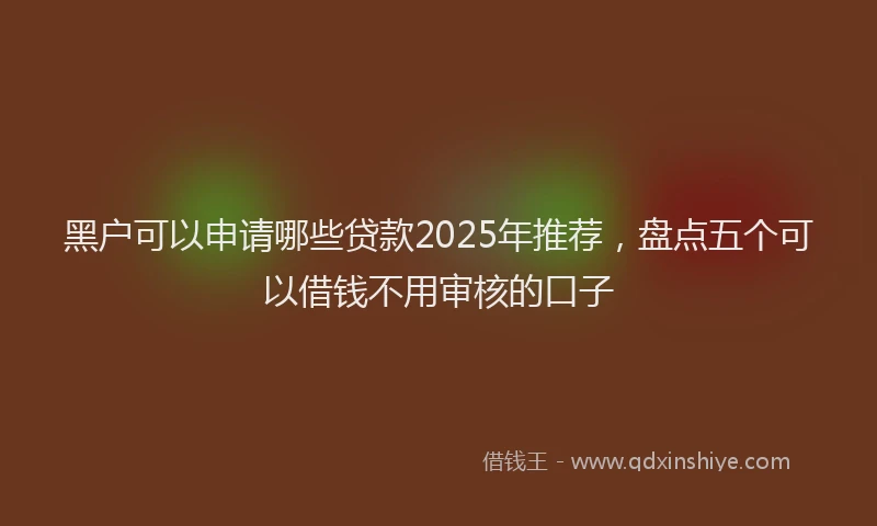 黑户可以申请哪些贷款2025年推荐，盘点五个可以借钱不用审核的口子