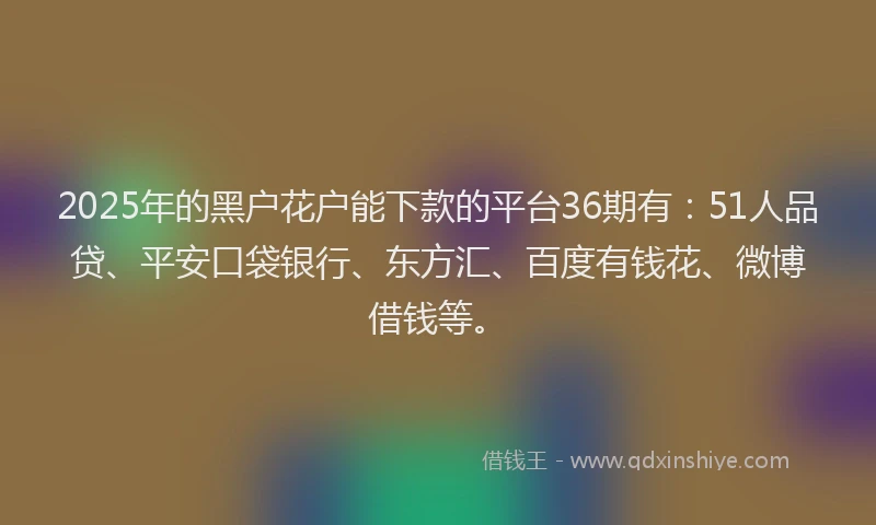 2025年的黑户花户能下款的平台36期有：51人品贷、平安口袋银行、东方汇、百度有钱花、微博借钱等。