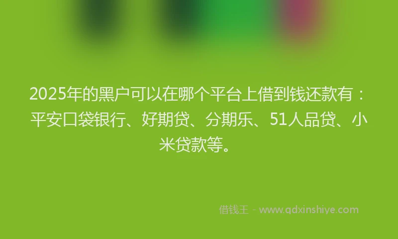 2025年的黑户可以在哪个平台上借到钱还款有：平安口袋银行、好期贷、分期乐、51人品贷、小米贷款等。