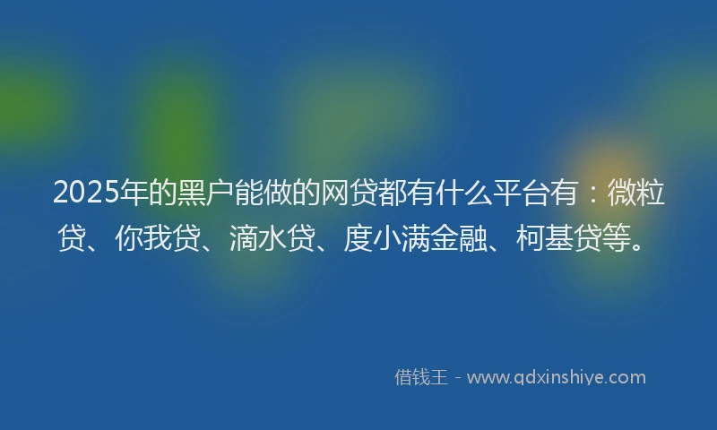 2025年的黑户能做的网贷都有什么平台有：微粒贷、你我贷、滴水贷、度小满金融、柯基贷等。