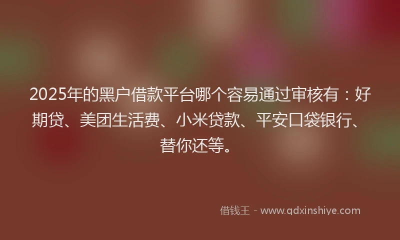 2025年的黑户借款平台哪个容易通过审核有：好期贷、美团生活费、小米贷款、平安口袋银行、替你还等。