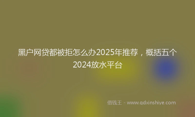 黑户网贷都被拒怎么办2025年推荐，概括五个2024放水平台