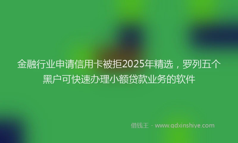 金融行业申请信用卡被拒2025年精选，罗列五个黑户可快速办理小额贷款业务的软件