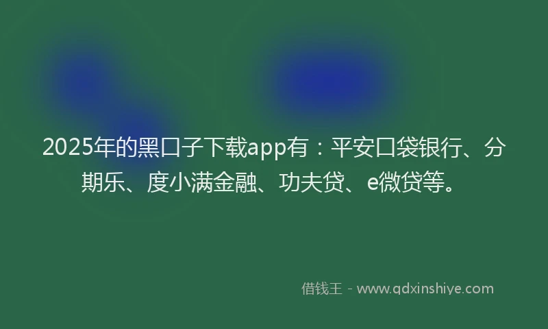 2025年的黑口子下载app有：平安口袋银行、分期乐、度小满金融、功夫贷、e微贷等。