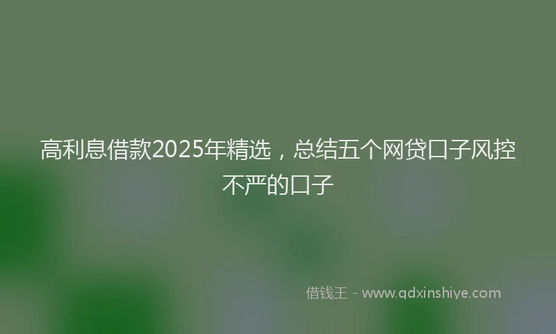 高利息借款2025年精选，总结五个网贷口子风控不严的口子