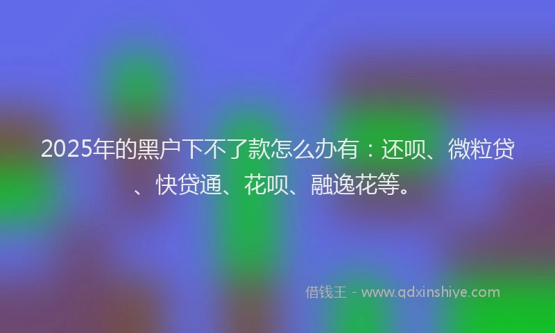 2025年的黑户下不了款怎么办有：还呗、微粒贷、快贷通、花呗、融逸花等。