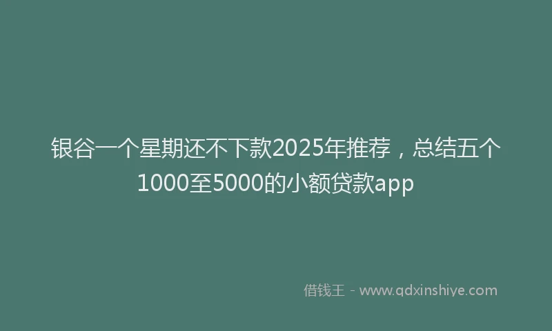银谷一个星期还不下款2025年推荐，总结五个1000至5000的小额贷款app