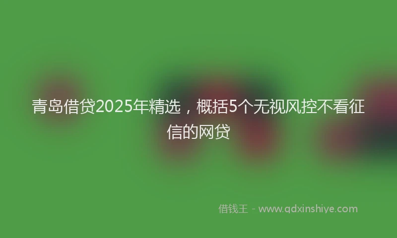 青岛借贷2025年精选，概括5个无视风控不看征信的网贷