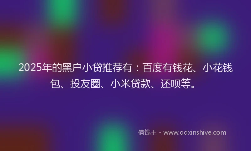 2025年的黑户小贷推荐有：百度有钱花、小花钱包、投友圈、小米贷款、还呗等。