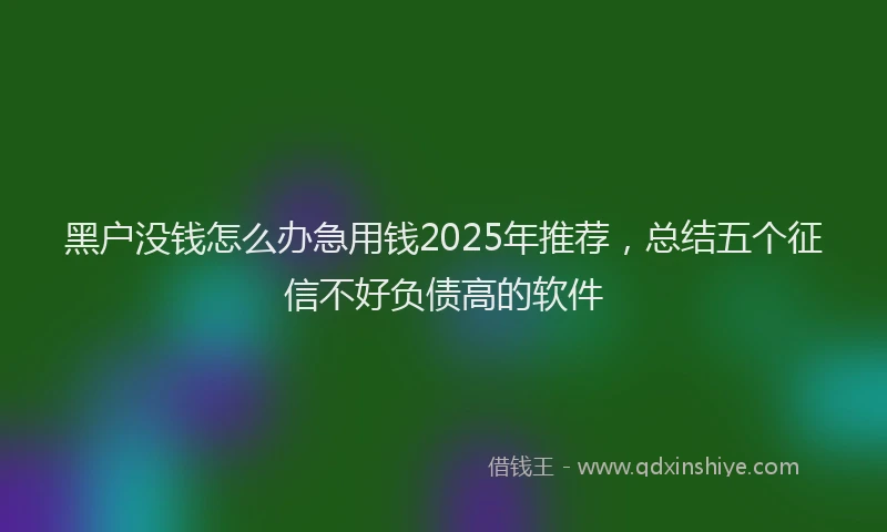 黑户没钱怎么办急用钱2025年推荐，总结五个征信不好负债高的软件