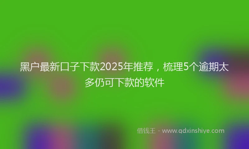 黑户最新口子下款2025年推荐，梳理5个逾期太多仍可下款的软件