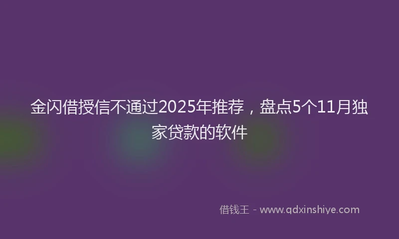 金闪借授信不通过2025年推荐，盘点5个11月独家贷款的软件