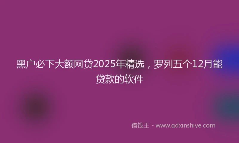 黑户必下大额网贷2025年精选，罗列五个12月能贷款的软件