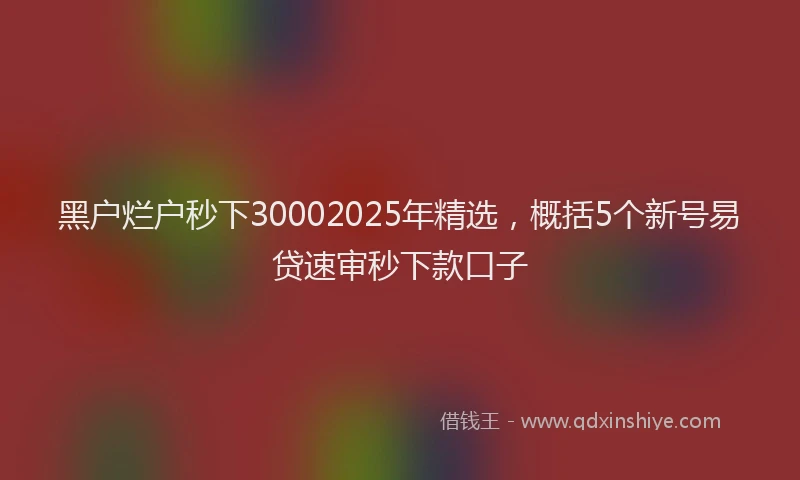 黑户烂户秒下30002025年精选，概括5个新号易贷速审秒下款口子