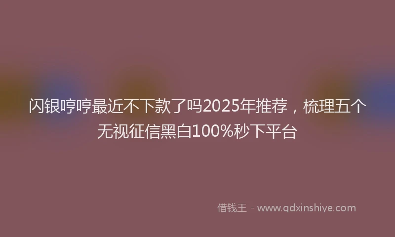 闪银哼哼最近不下款了吗2025年推荐，梳理五个无视征信黑白100%秒下平台
