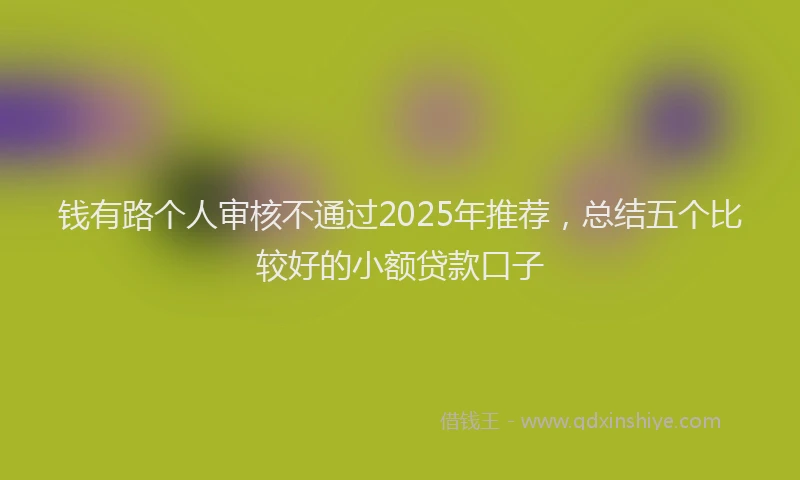 钱有路个人审核不通过2025年推荐，总结五个比较好的小额贷款口子