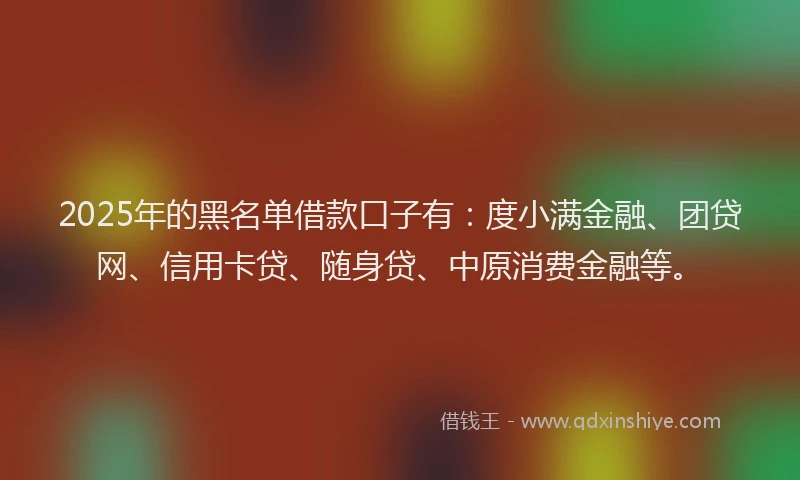 2025年的黑名单借款口子有：度小满金融、团贷网、信用卡贷、随身贷、中原消费金融等。