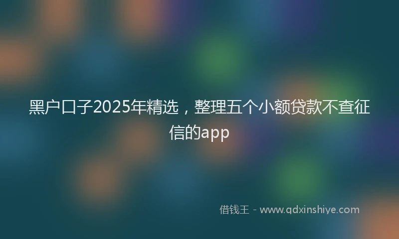 黑户口子2025年精选，整理五个小额贷款不查征信的app