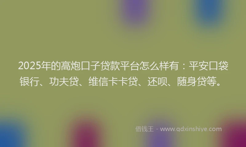 2025年的高炮口子贷款平台怎么样有：平安口袋银行、功夫贷、维信卡卡贷、还呗、随身贷等。