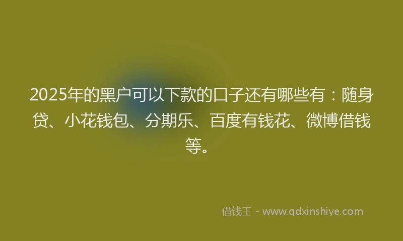 2025年的黑户可以下款的口子还有哪些有：随身贷、小花钱包、分期乐、百度有钱花、微博借钱等。