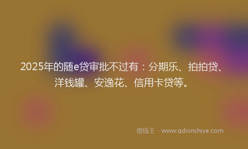2025年的随e贷审批不过有：分期乐、拍拍贷、洋钱罐、安逸花、信用卡贷等。