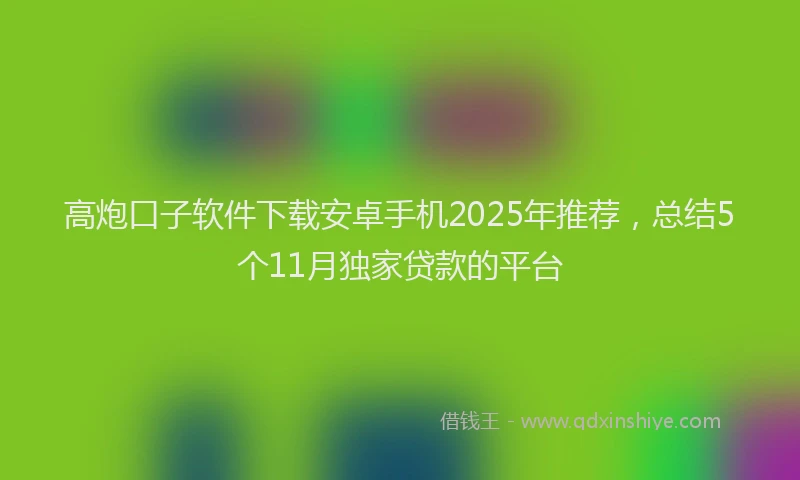 高炮口子软件下载安卓手机2025年推荐，总结5个11月独家贷款的平台