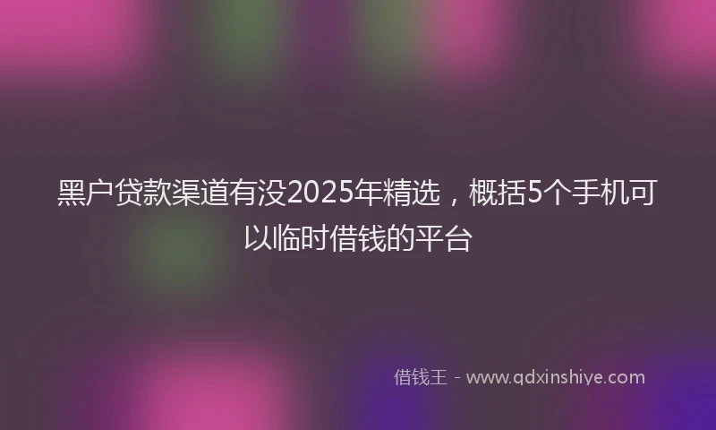 黑户贷款渠道有没2025年精选，概括5个手机可以临时借钱的平台