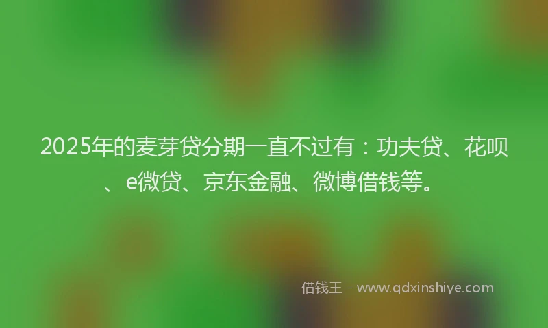 2025年的麦芽贷分期一直不过有：功夫贷、花呗、e微贷、京东金融、微博借钱等。