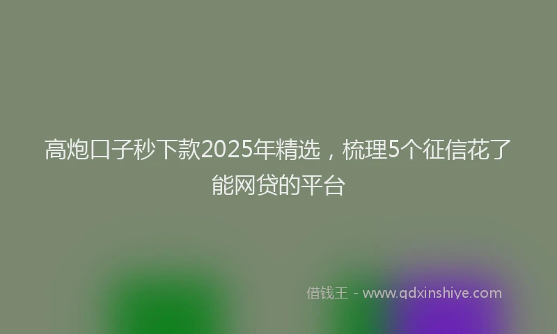 高炮口子秒下款2025年精选，梳理5个征信花了能网贷的平台