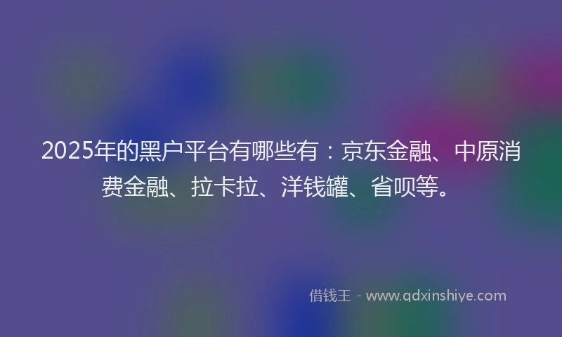 2025年的黑户平台有哪些有：京东金融、中原消费金融、拉卡拉、洋钱罐、省呗等。