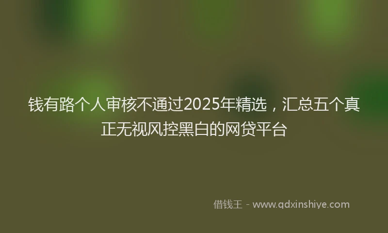 钱有路个人审核不通过2025年精选，汇总五个真正无视风控黑白的网贷平台