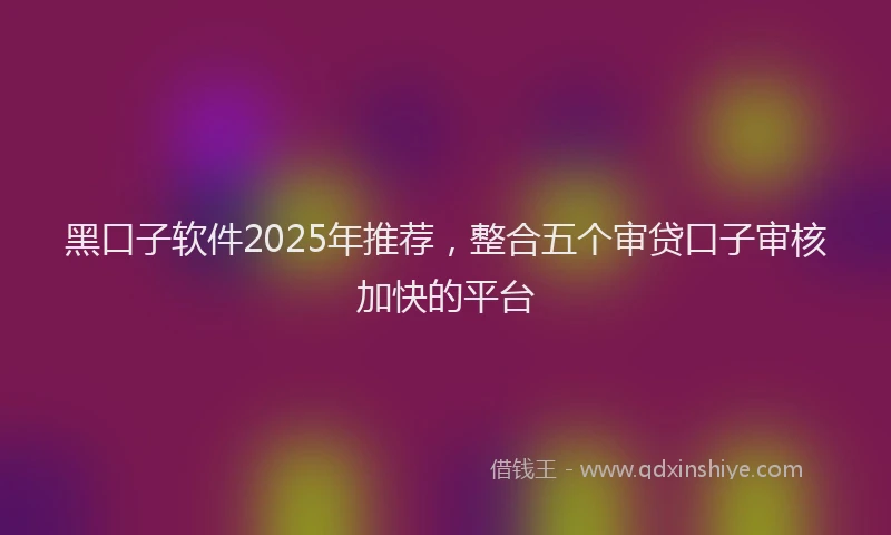黑口子软件2025年推荐，整合五个审贷口子审核加快的平台