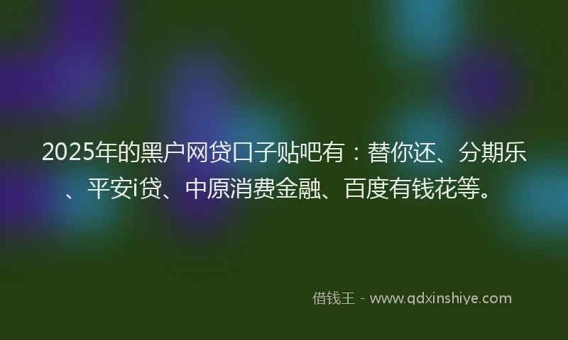 2025年的黑户网贷口子贴吧有：替你还、分期乐、平安i贷、中原消费金融、百度有钱花等。